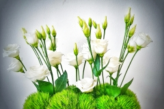 Contessa Eventdesign Kreationen