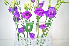 Contessa Eventdesign Kreationen