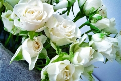 Contessa Eventdesign Kreationen