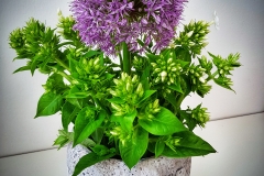 Contessa Eventdesign Kreationen