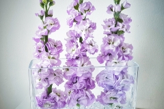 Contessa Eventdesign Kreationen