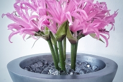 Contessa Eventdesign Kreationen