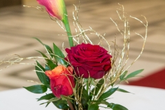001-2016-11-25-oegdv-kongress