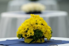 SAP – Design Center Linz - Contessa Eventdesign by C.Bakalowits